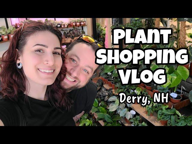 Plant Shopping Vlog!!  all the good stuff at The Plant Shop in Derry, NH ️ rares & great prices!!