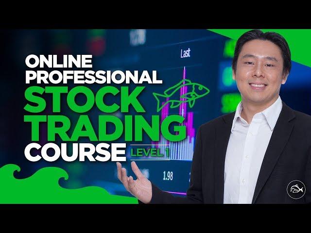 Professional Stock Trading Course Lesson 1 of 10  by Adam Khoo