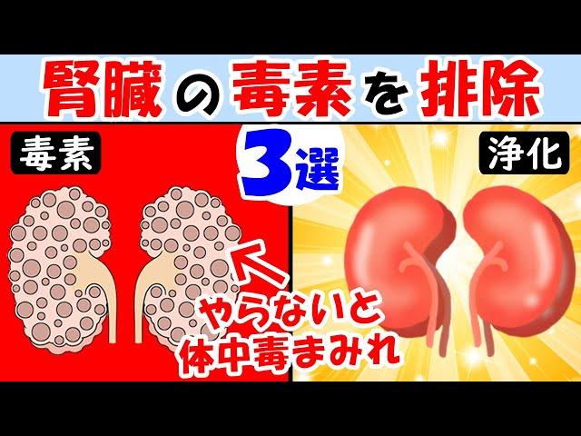 腎臓の働きを高めれば体に溜まった毒素や老廃物はゴッソリ取れる3選！腎機能を高めてデトックス【腎臓に良い食べ物】しんどい時疲れた時は見て