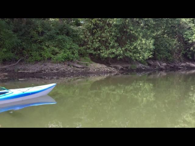 Kayaking the Columbia Slough