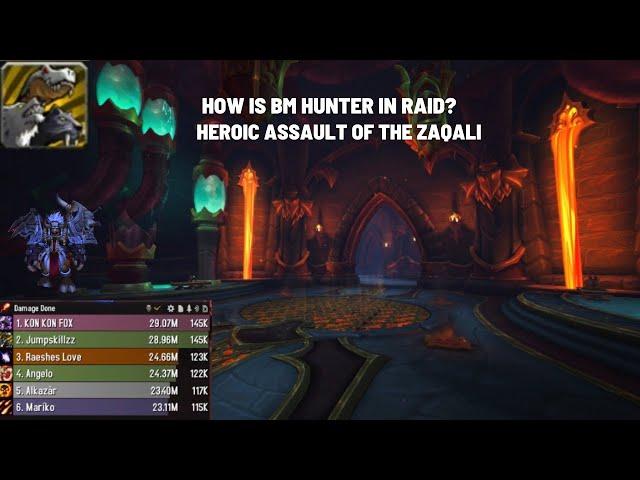 How Is BM Hunter DPS Buff In Raid? Heroic Assault Of The Zaqali. 10.1 #WorldofWarcraft #Dragonflight