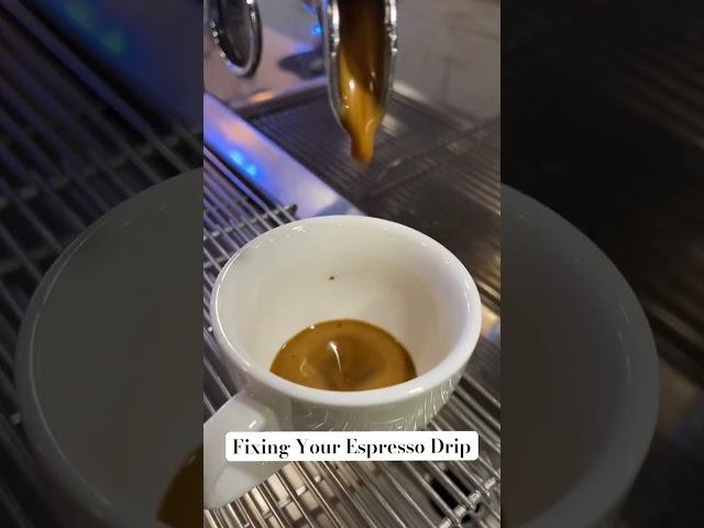 Espresso Shot Extraction Fixes
