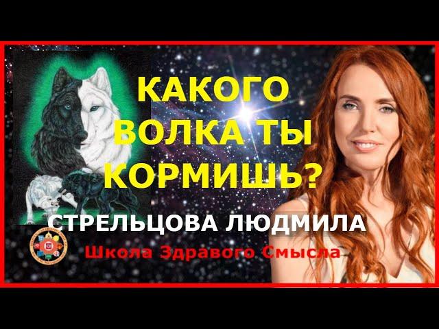 Какого волка ты кормишь? Стрельцова Людмила