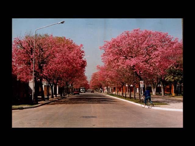 Lunita del Taragui - Petereca