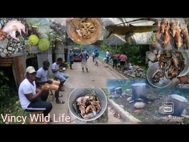 4 POTS, 4 MEAT, 4 EAT (35 LOBSTER, 15 IGUANA, 12 OPPOSUM, 6 ARMADILLO) RIVER SIDE COOKUP EP.16