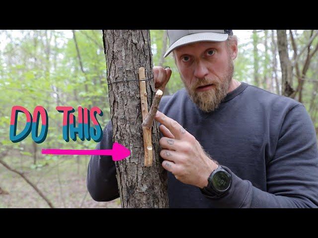 Make Camp Life Easier with This Bushcraft Master Hack!