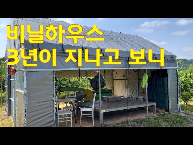 비닐하우스가 3년이 지나니 10m 미인이 되었습니다