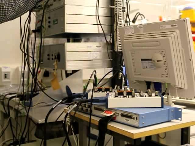 Introduction to the dynamic clamp hardware and setup.