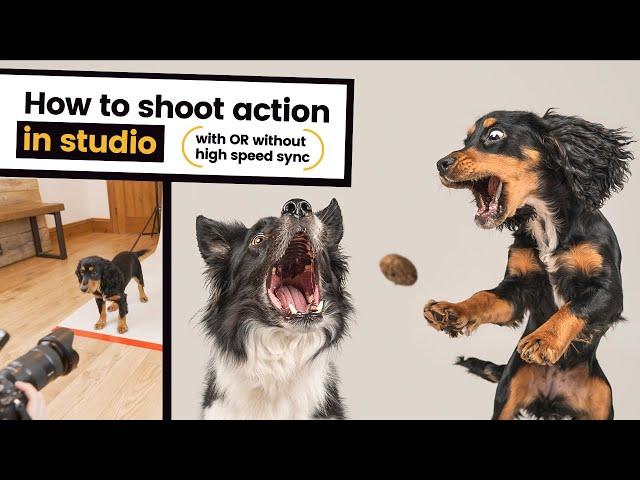 How to Photograph Action in Studio: Freeze Motion like a Treat Catching Pro