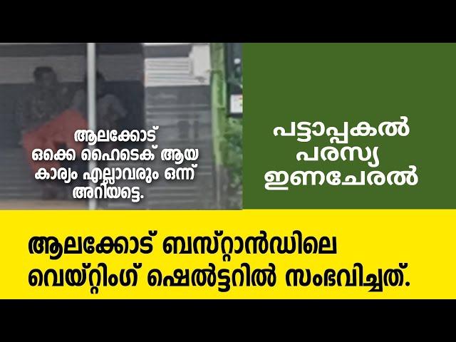 Alakode | Bus stand | Viral video | പട്ടാപ്പകൽ പരസ്യ  ഇണചേരൽ. ബസ്റ്റാൻഡിലെ വെയ്റ്റിംഗ് ഷെൽട്ടറിൽ