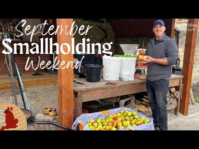 Life on a UK Smallholding | September's Harvests, Pigs and Campfires