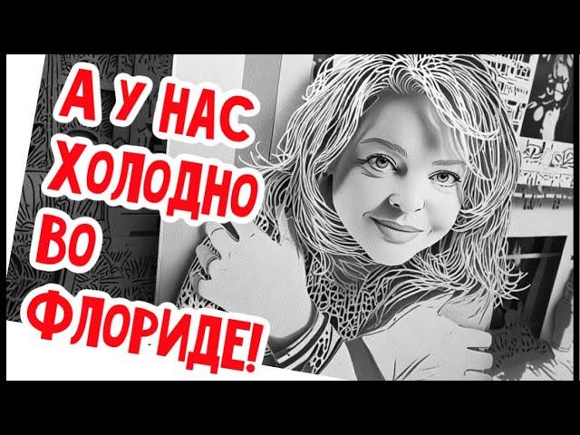 Где мои валенки? #натальяфальконе #сша