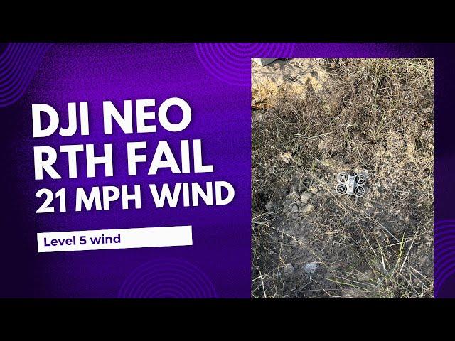 DJI Neo failed to Return to Home in strong wind