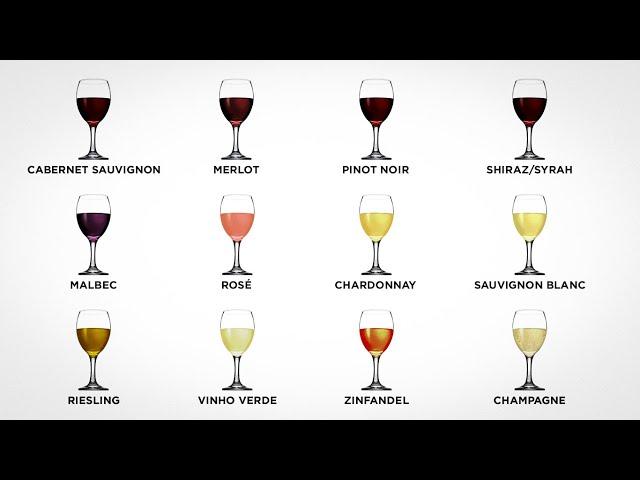 Every Wine Explained in 10 minutes Part 1