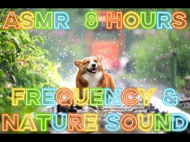 ASMR 8 Hours | Outside | Frequency & Nature Sounds "RainyDay" ️