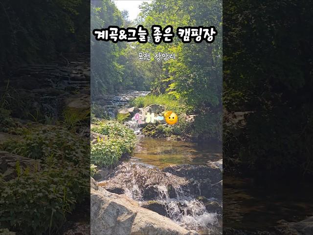 서울인근 포천 그늘과 계곡 좋은 캠핑장 추천!! #경기도캠핑장 #포천 #오토캠핑