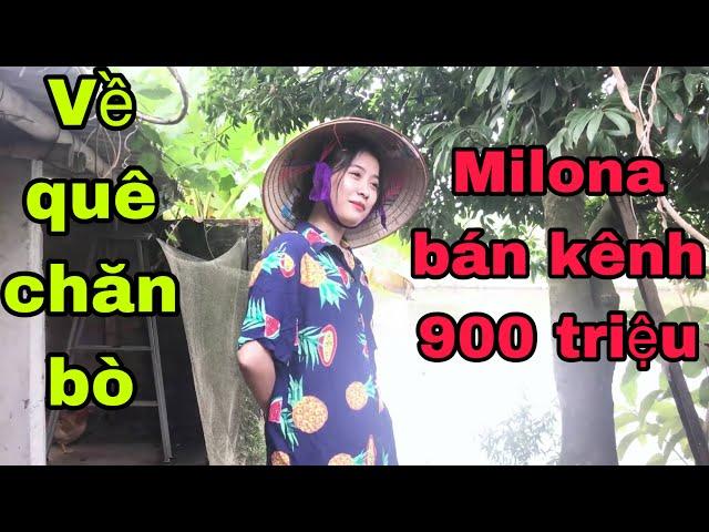 Milona TV bán kênh YouTube 900 triệu thất nghiệp về quê chăn bò câu cá thử sinh tồn giống MV Chi Pu