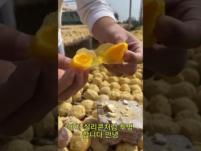 겉보기엔 진짜인데중국산 실리콘 가짜 달걀의 충격 진실