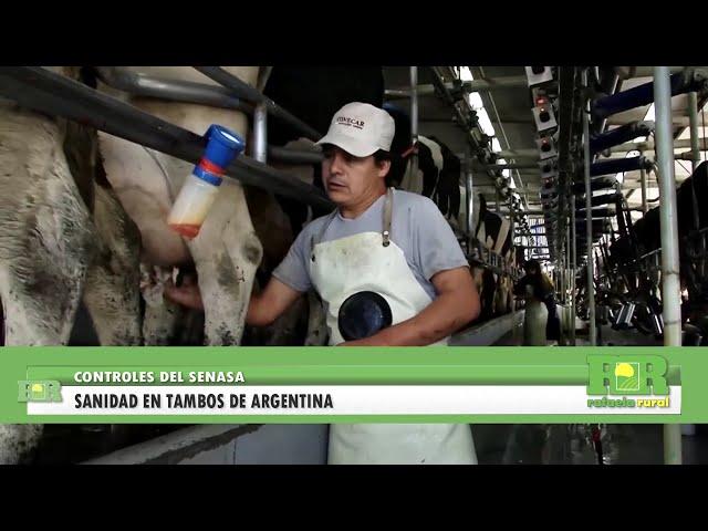Sanidad en tambos: planes de control del SENASA