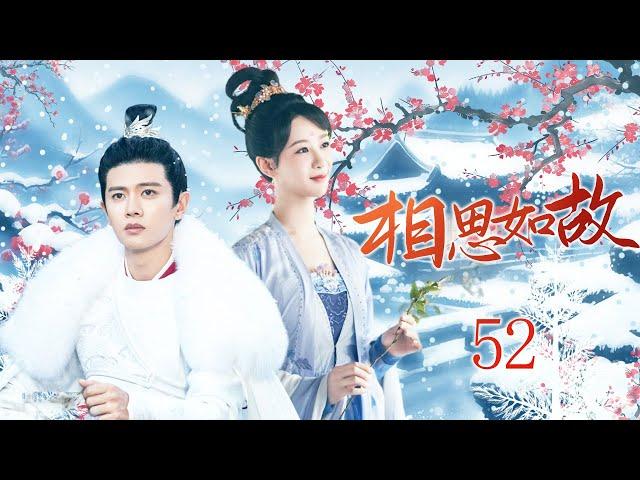 2024古装大戏【相思如故 Lovesickness as before EP52】小公主替姐姐嫁给废柴王爷，本该死在出嫁那天的她得到重生玉佩，和王爷一起改写命运｜任嘉伦 杨紫