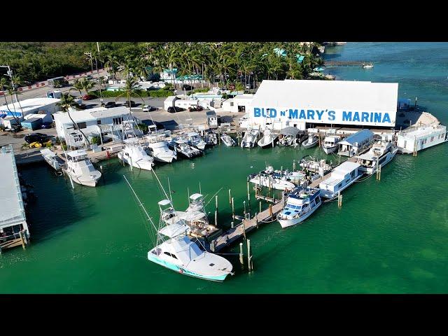 Tarpon Fishing, Accommodations and More! - April Fishing Report