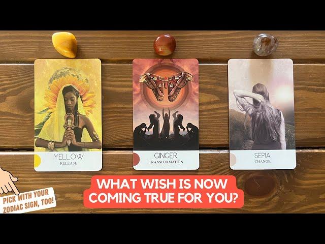 What Wish is Now Coming True For You? | Timeless Reading