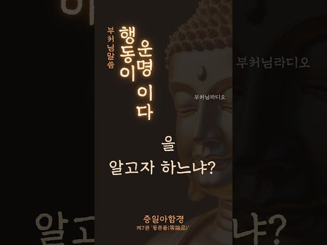 과거와 미래의 비밀 : 행동이 운명이다  | 부처님말씀 | 증일아함경 | 석가모니 부처님
