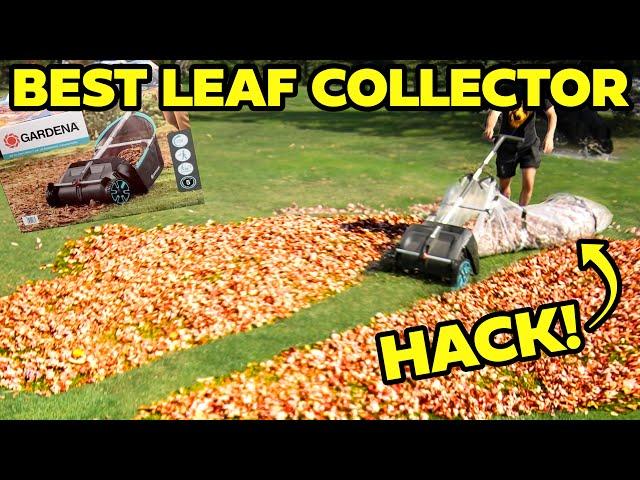 BEST LEAF COLLECTOR even BETTER for 2024