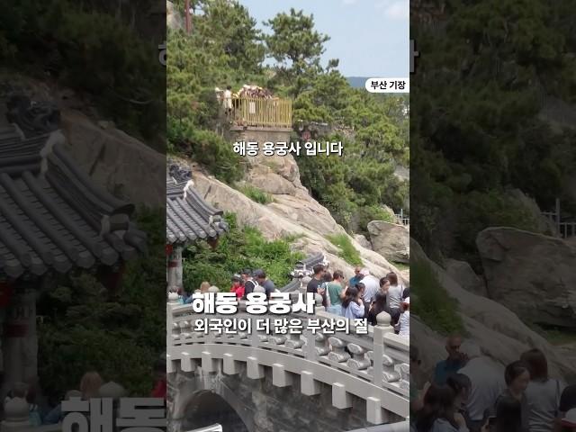 외국인이 더 많은 부산의 절 #해동용궁사  #부산여행