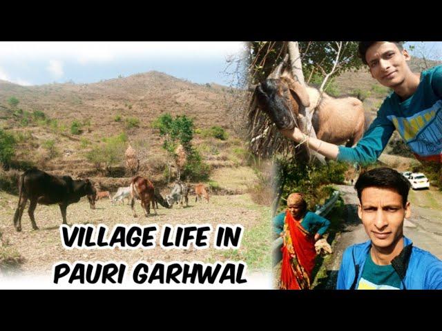 My Small Hill Village | Pahadi Lifestyle | Uttarakhand Village Life |