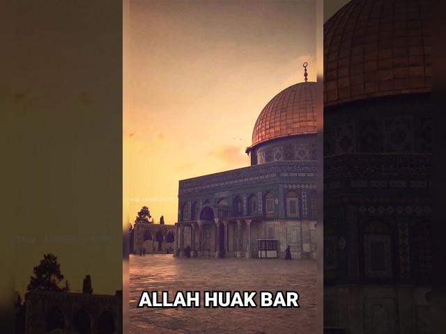 allah huak bar masjid al aqsa | masjid e aqsa video #alaqsamasjid #masjid #youtubeshorts #shorts