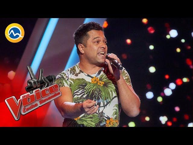 Jaroslav Parči - Despacito (Luis Fonsi) - The VOICE Czecho Slovakia 2019