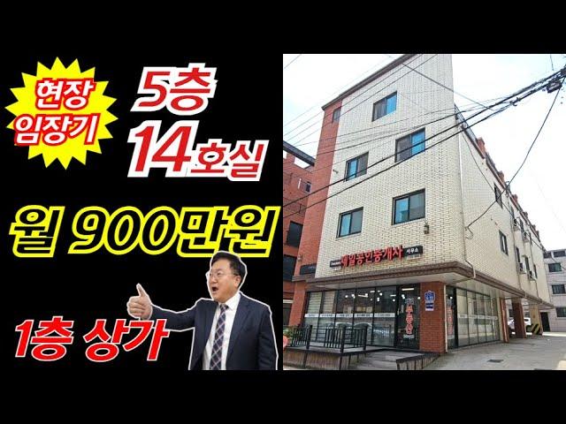 [현장임장기] 월 900만원 5층 상가주택경매! 1층상가+ 1.5룸 12개+투룸 4개 다가구주택경매 엘리베이터 발코니 확장 부동산경매물건 [2023 타경 117238]