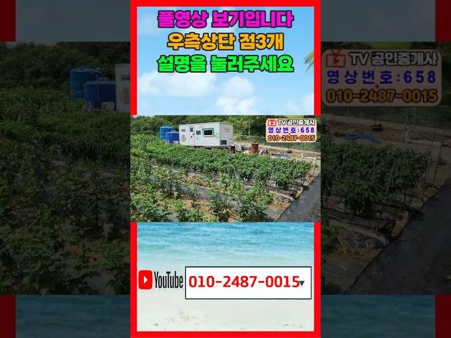 658 높은산에 있는 포항 산딸기 밭 매매 도로에 잘 접해 있는 송라 산딸기밭매매 수도와 전기 농막이 설치되어 있는 포항주말농장매매 화진해수욕장 가까운 송라주말농장매매 shorts