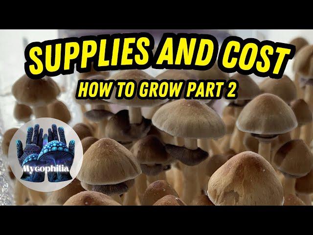 Everything You Need to Start Growing Mushrooms Like Sage! Mushroom Mastery Ep. 2