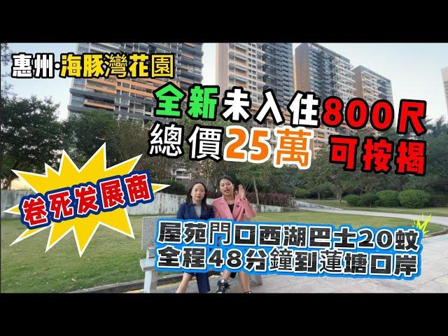 全新未入住800尺【海豚灣花園】屋苑門口西湖巴士20蚊 | 全程48分鐘到蓮塘口岸 | 卷死发展商 | 總價25萬 | 可按揭#惠州樓盤 #大亞灣 #房地產 #二手筍盤 #筍盤 #海豚灣花園