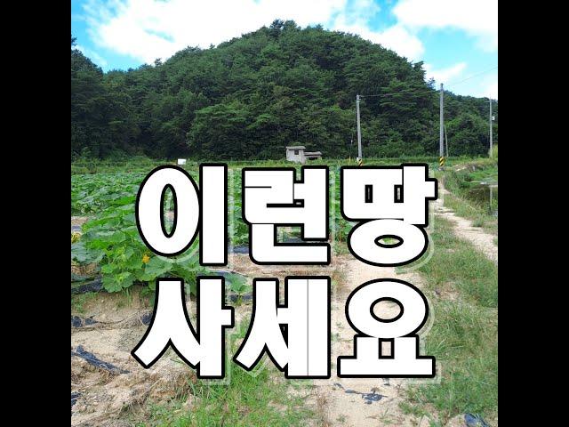 24번)전기,관정, 도로 010 3809 0318#경북땅#시골땅#촌땅#봉화땅매매#영주땅매매#안동땅매매#촌땅매매#시골땅매매#경북땅매매#싼땅#귀농귀촌#봉화부동산#영주부동산#안동부동산