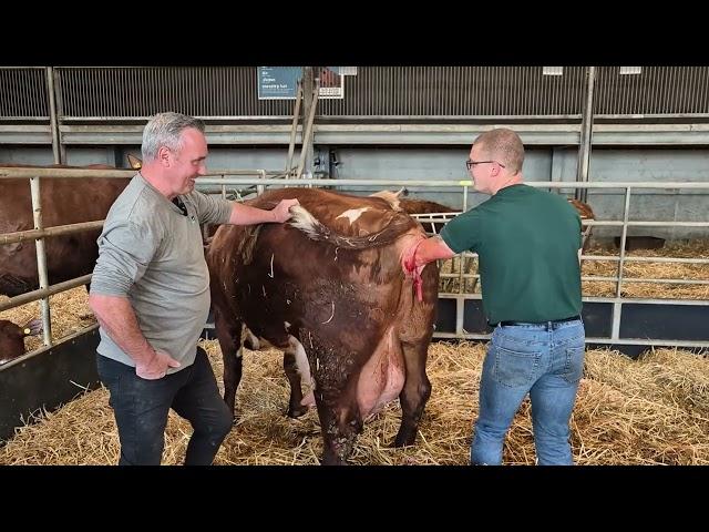 Tense moments as Beryl gives birth!