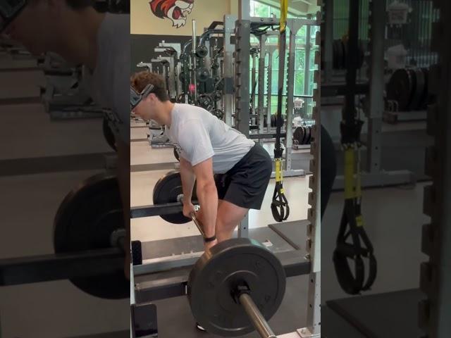 Rack clean (below the knee)