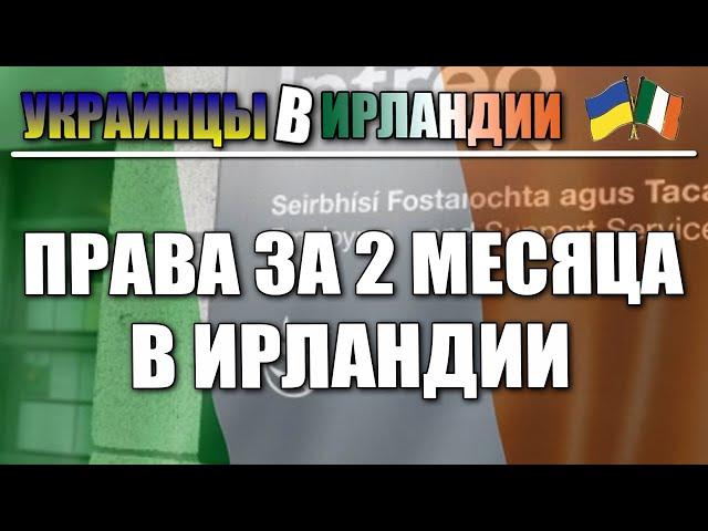 Ирландские права за два месяца. Украинцы в Ирландии