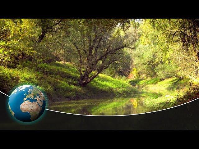 The Sava Floodplains - Croatia's secret paradise | Full Documentary