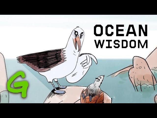 Wisdom's wise words on ocean protection - Greenpeace