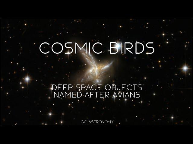 Cosmic Birds: 15 Deep Space Objects Named After Avians