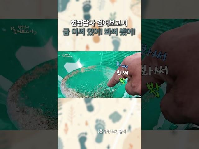 현장답사 걸어보고서 금 이써 있어! 봐써 봤어! #shorts