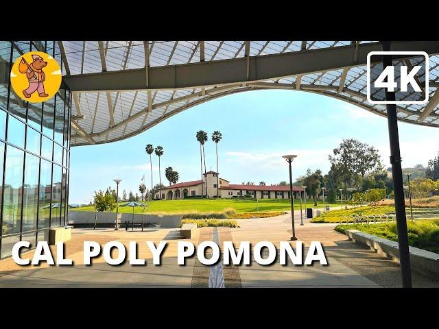 4K Cal Poly Pomona Campus Walking Tour |  Binaural Sound