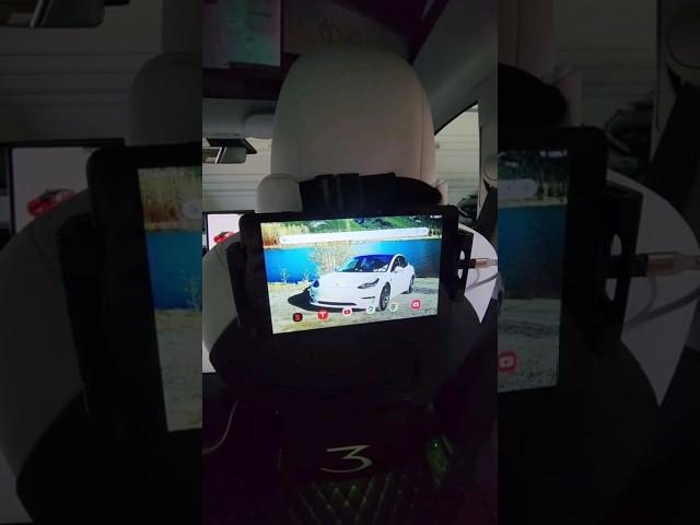 Tesla Rear Screen Mods