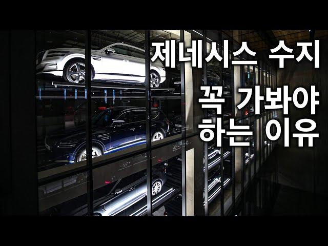 제네시스 수지 꼭 가봐야 하는 이유