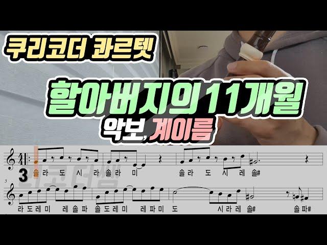 쿠리코더 콰르텟 - 할아버지의 11개월 악보 리코더 연주