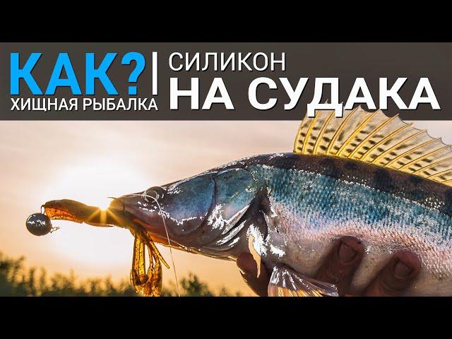 Как собрать коробку силиконовых приманок на судака?