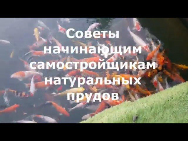 Советы начинающим самостройщикам прудов | 3-ий Выпуск | ПРУД ПРУДИ